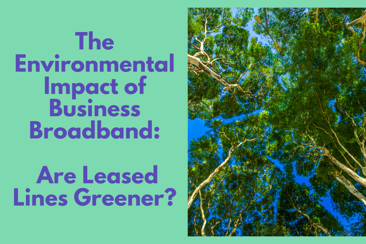 Environmental Impact